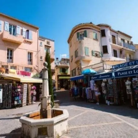 Mandariniers Le Lavandou