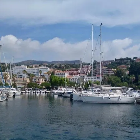 Mandariniers Le Lavandou